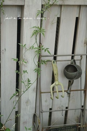 秋のお庭_c0093830_2056466.jpg