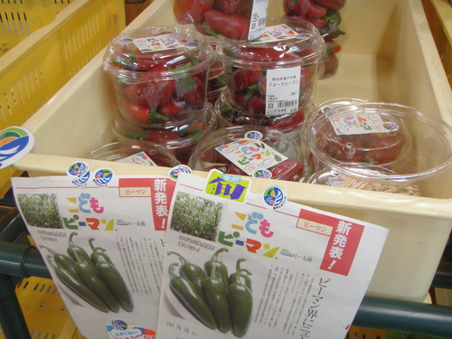 キラメッセ室戸 直販所・楽市へ遊びに来てね。_f0227434_17255687.jpg