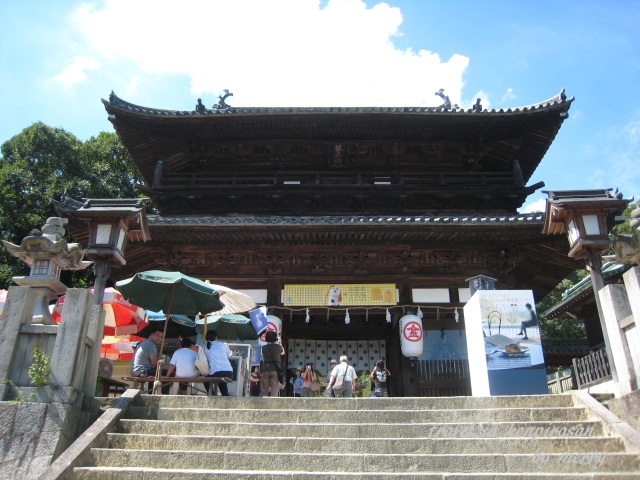 a0207736_1705917.jpg