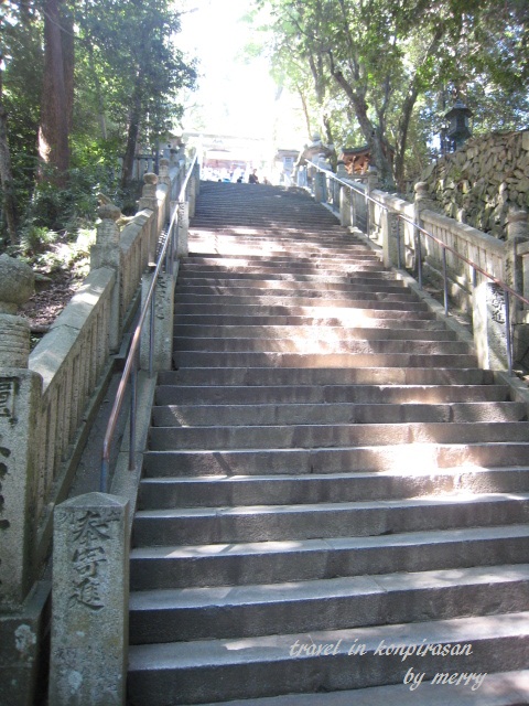 a0207736_172569.jpg