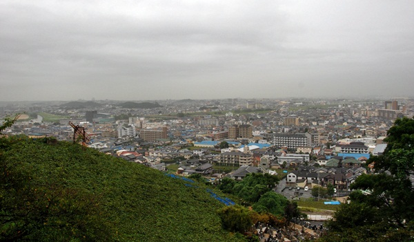 大阪のブドウ畑_b0206537_15302491.jpg
