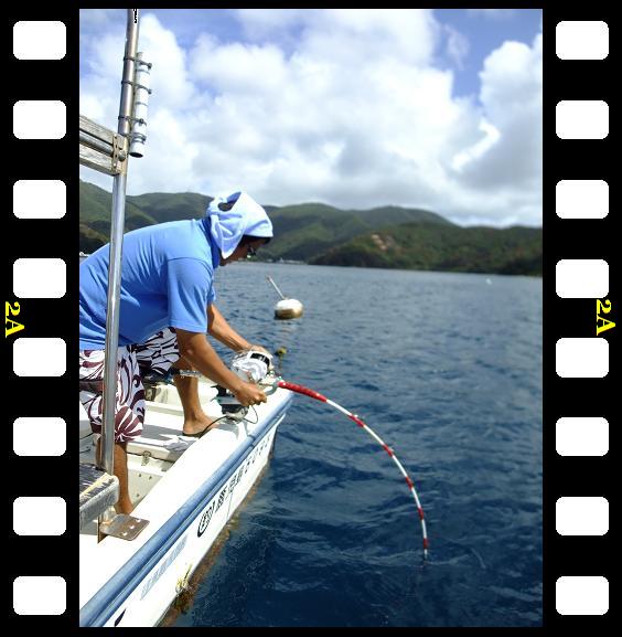 上島釣具店 弁慶 : 奄美の釣船 款璽丸