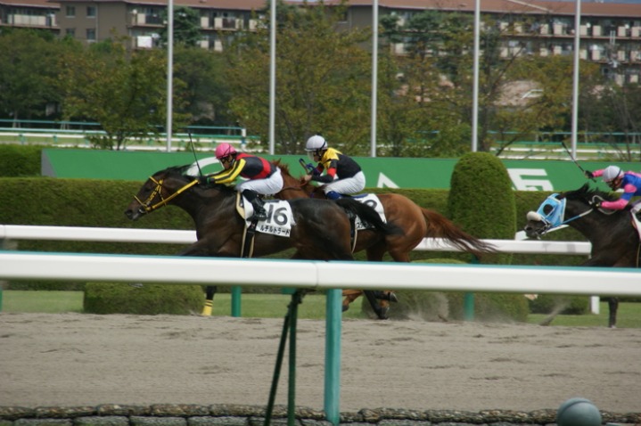 競馬観戦_b0042439_5482961.jpg