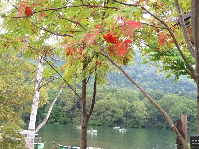 e0172840_1811575.jpg