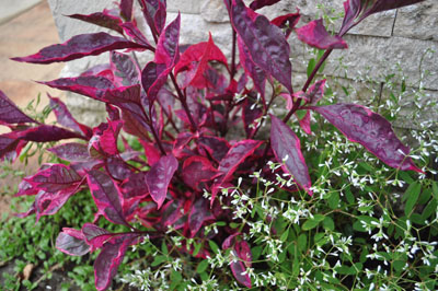 f0204440_0185693.jpg