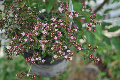 f0204440_023167.jpg