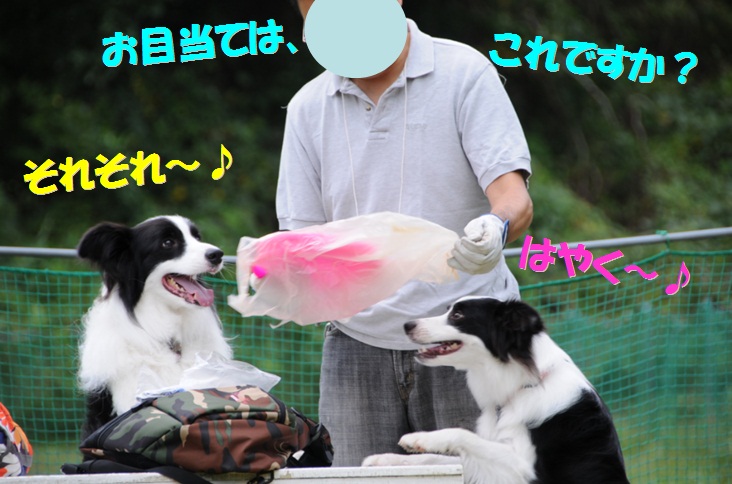 c0147241_2117581.jpg