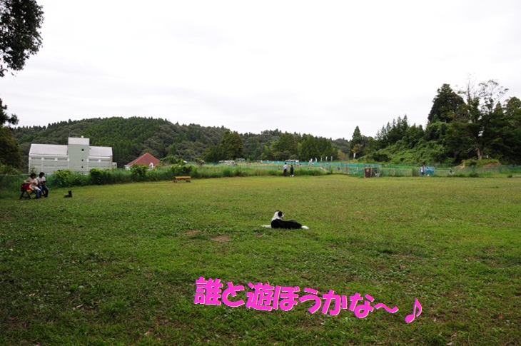 c0147241_21184941.jpg