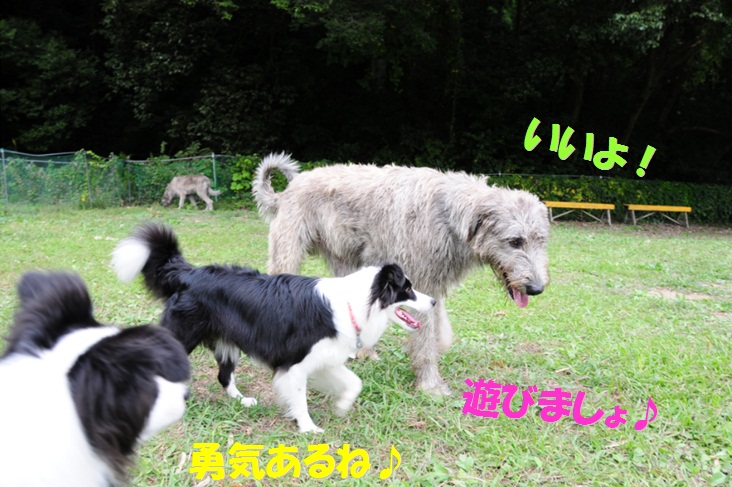 c0147241_2119145.jpg