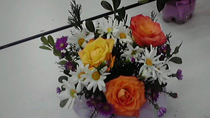 とちぎインターナショナルフェスティバル2011_e0227942_8144332.jpg