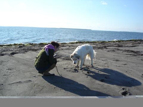 北への旅　その4　行った場所_a0200943_2321412.jpg