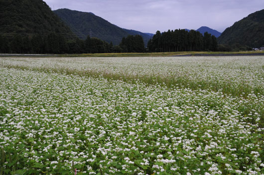 c0093046_19381635.jpg