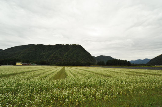c0093046_1939324.jpg