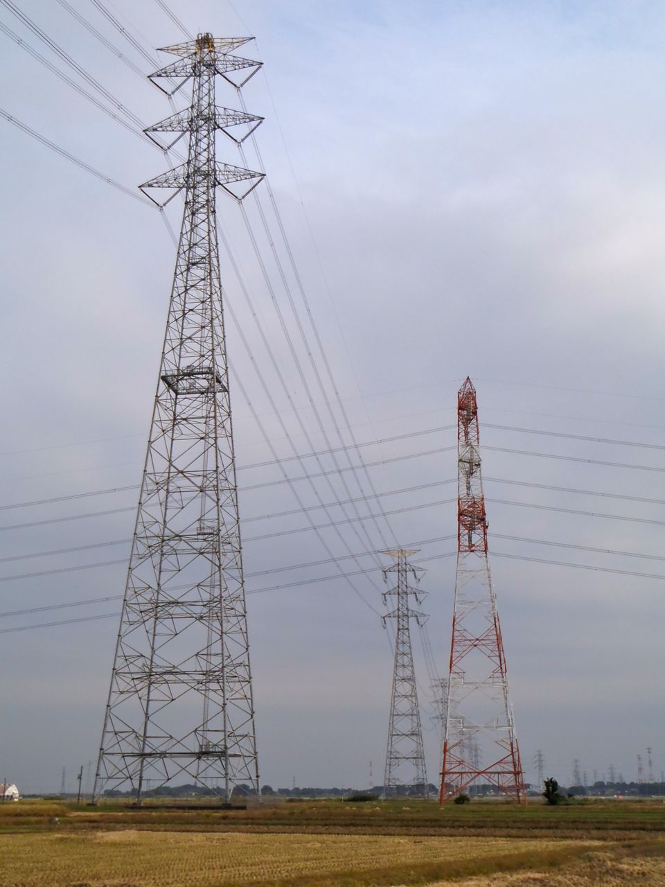 a0017848_19442988.jpg