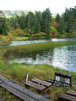 c0097856_23283568.jpg