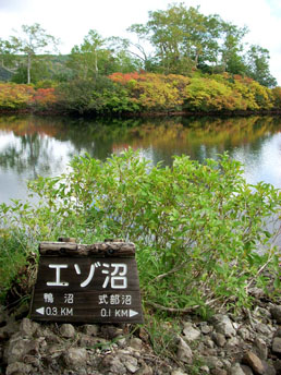 c0097856_23421993.jpg