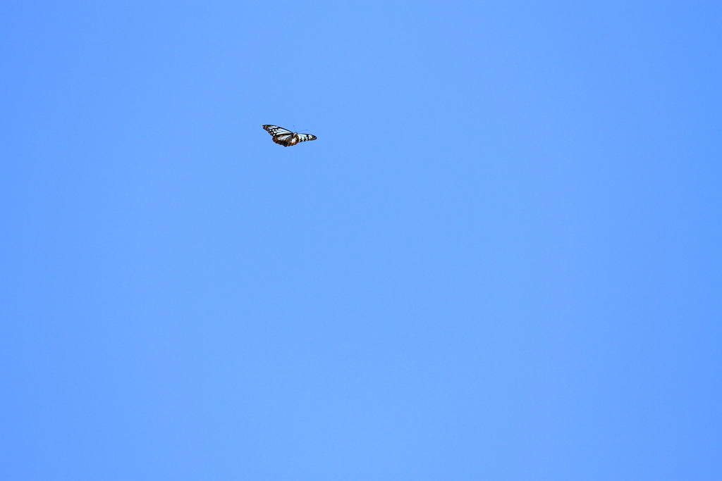 f0230458_17451533.jpg