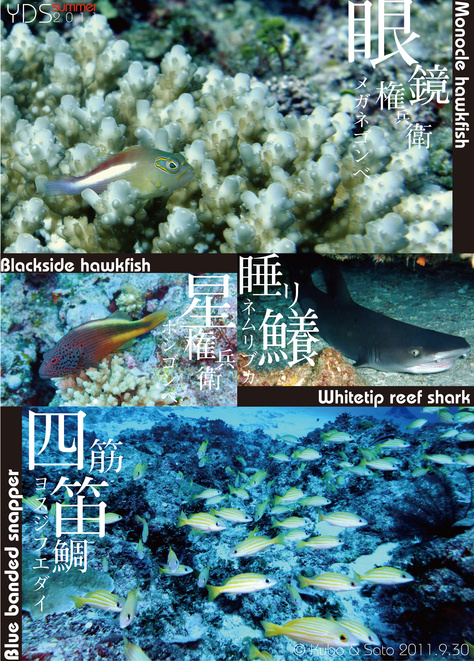 9月30日、終盤戦。_d0113459_025092.jpg