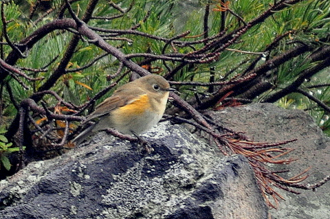 b0165760_2220510.jpg