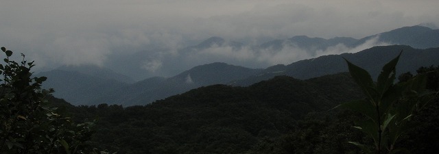 c0119160_1040958.jpg