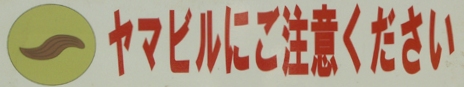 c0119160_1231098.jpg
