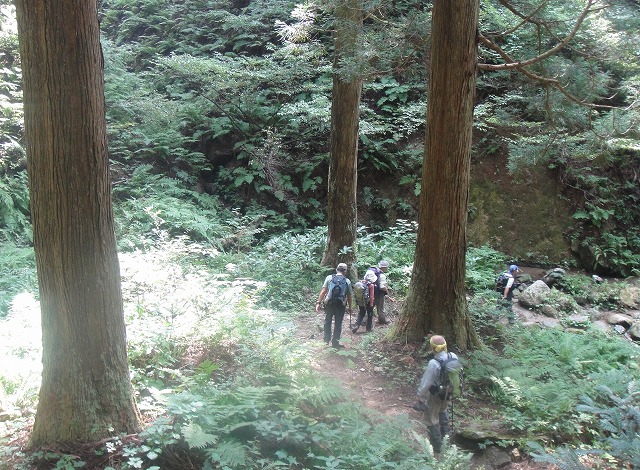 c0119160_1351499.jpg