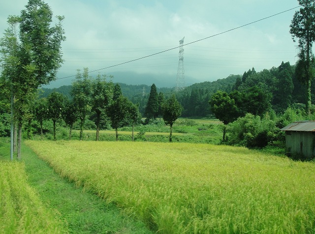 c0119160_15513411.jpg