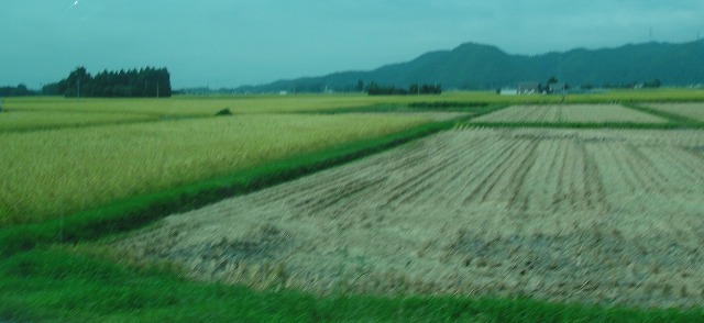 c0119160_17413158.jpg