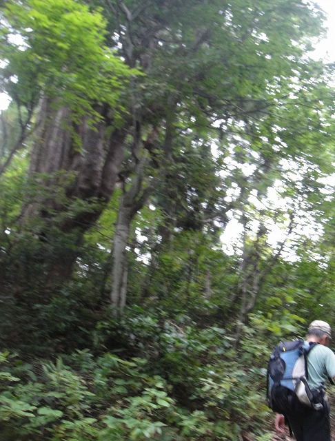 c0119160_932389.jpg