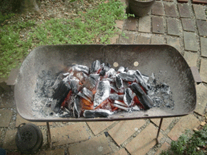 d0137664_1935879.gif