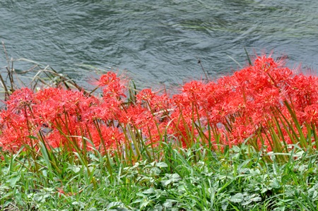 f0207664_8305521.jpg