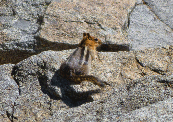 e0010166_2226590.gif