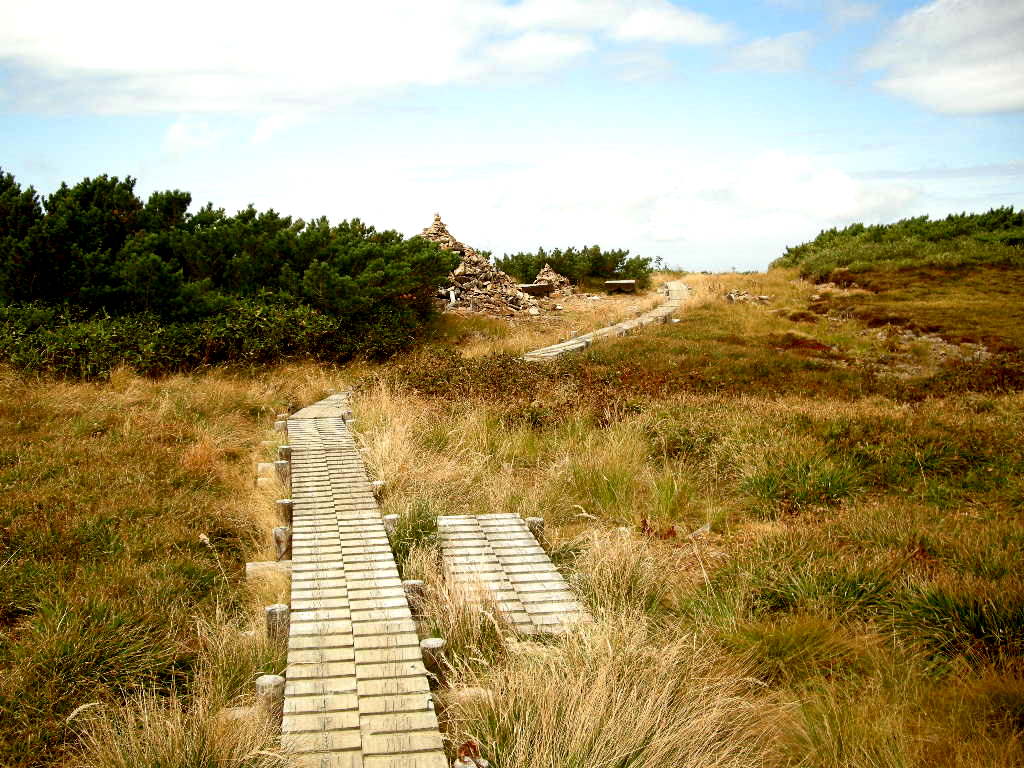 b0185573_17564399.jpg
