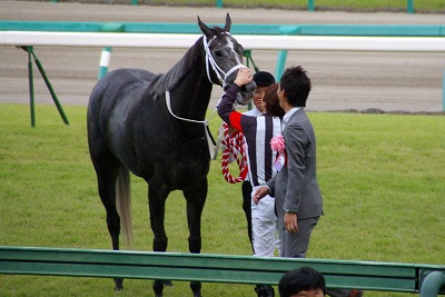 世界のロケットマン敗れる！スプリンターズＳはカレンチャンが重賞４連勝で新短距離女王に_b0015386_22362193.jpg