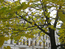 a0207689_18454697.jpg