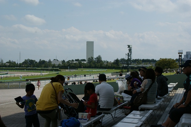 元気をもらいました。阪神競馬・・・・・１／３_d0181492_13232223.jpg