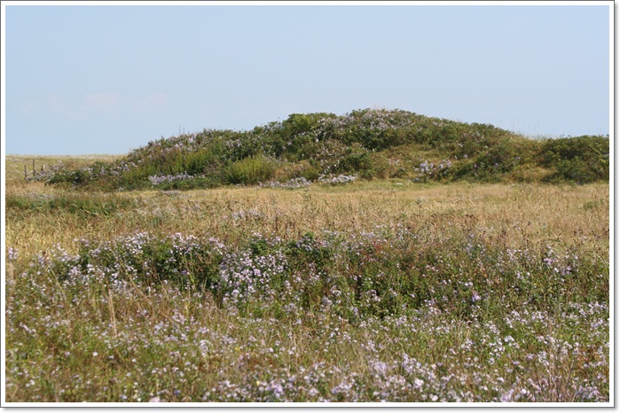 f0146493_21333164.jpg