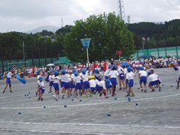 d0136596_23036.jpg