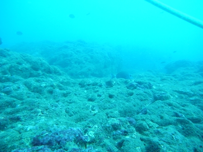 a0201201_12305122.jpg