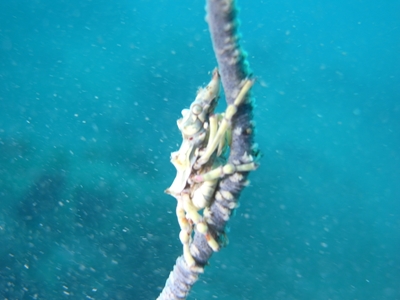 a0201201_13315920.jpg