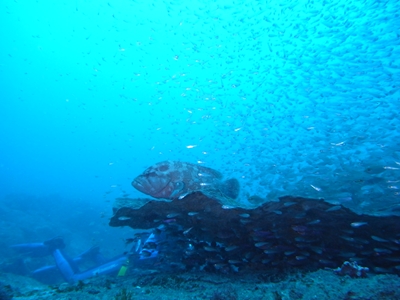 a0201201_13351974.jpg