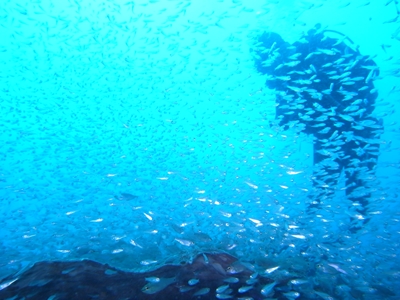 a0201201_13353074.jpg