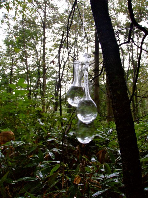 e0138101_041342.jpg