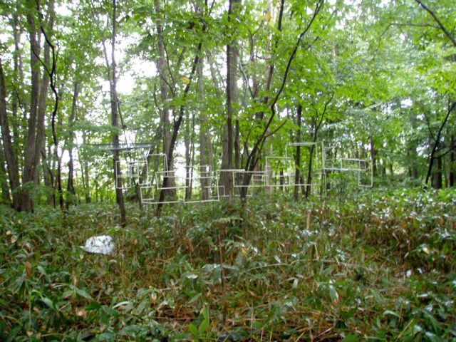 e0138101_053754.jpg