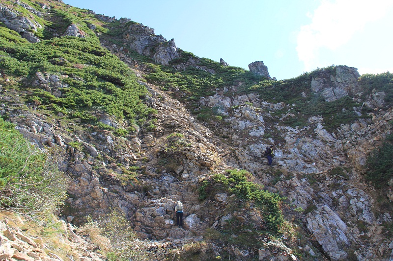 a0158702_17224127.jpg