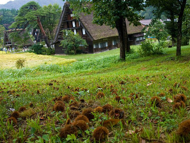 c0008502_2120083.jpg