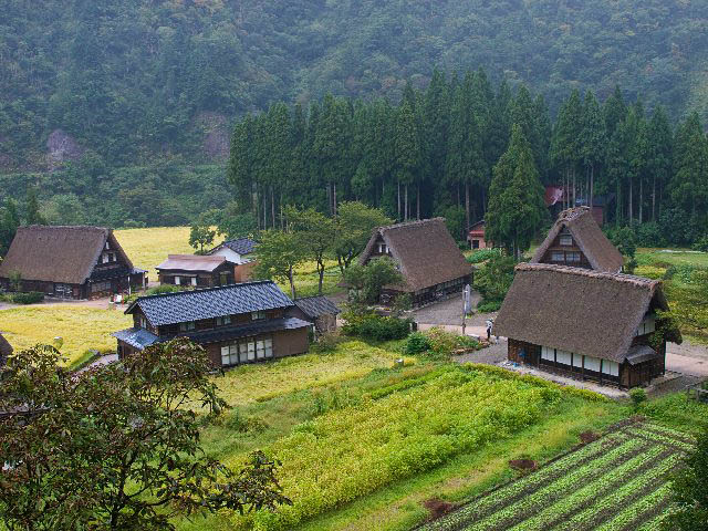 c0008502_6115818.jpg