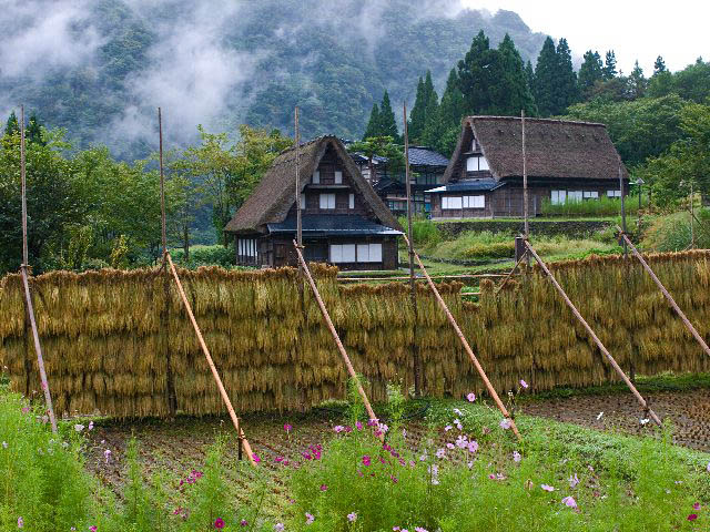 c0008502_6125134.jpg