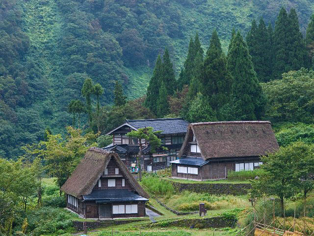 c0008502_6132560.jpg