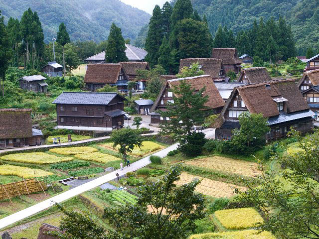 c0008502_6134436.jpg
